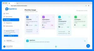 Usage Analytics Interface of ZApDM -Instagram DM Automation Tool