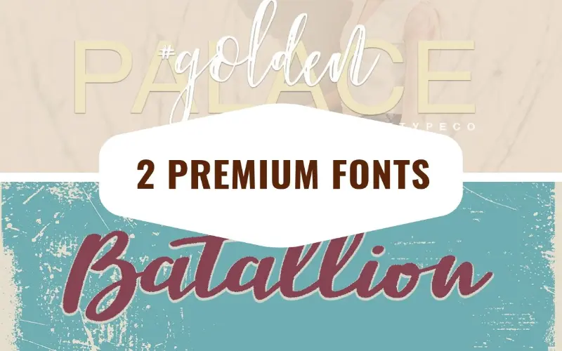 2 premium fonts- feature image