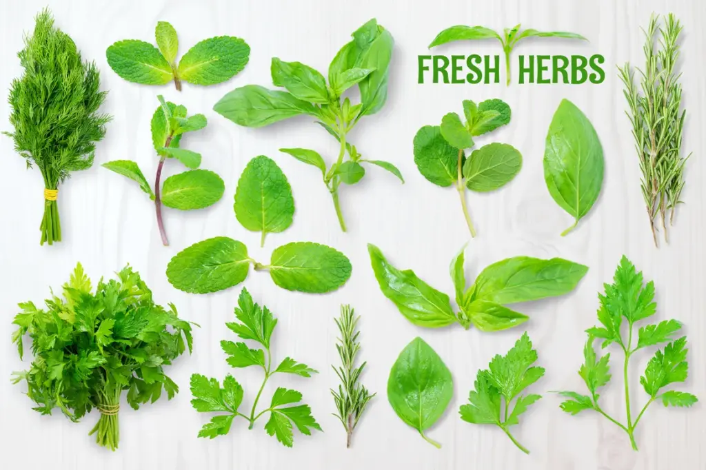Dill, mint, basil, rosemary, parsley, and spinach arranged on a light wood surface with “FRESH HERBS” text
