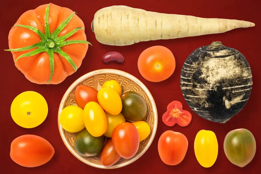 Assorted tomatoes, parsnip, black radish, and kidney bean with a central bowl of colorful cherry tomatoes on a red background