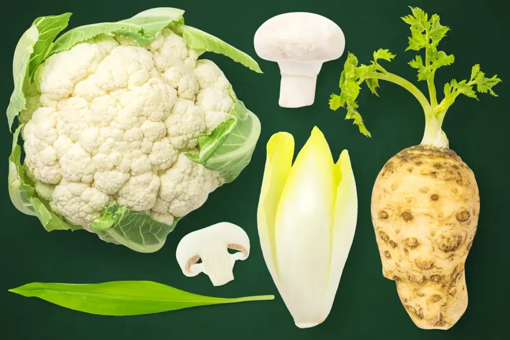 Cauliflower, mushrooms, Belgian endive, celeriac, and green leaf arranged on a dark green background