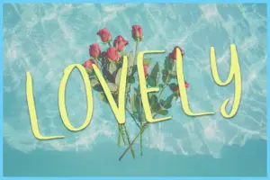 A bunch of red roses floating in water with yellow text saying "LOVELY". The Wild Life Calligraphy Font