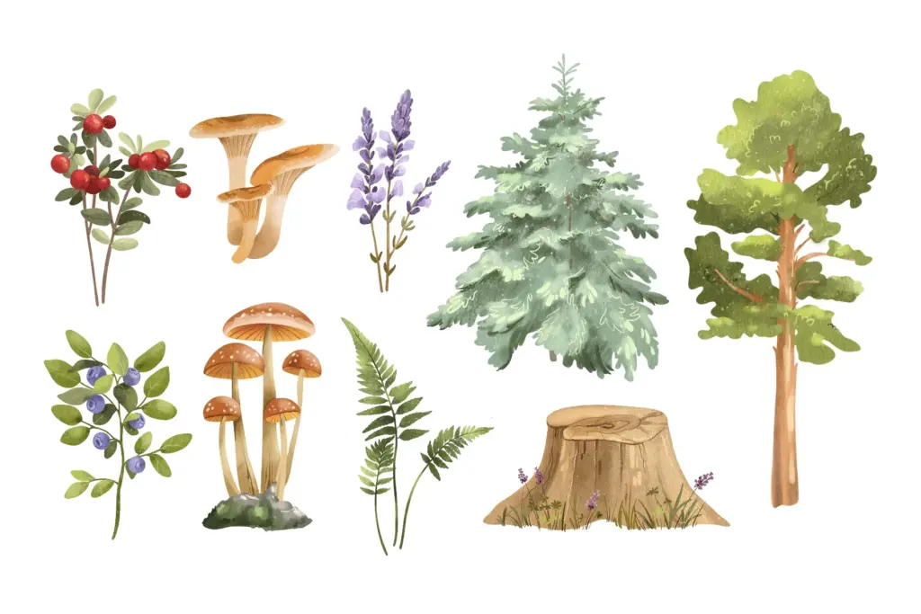 A collage of woodland flora
