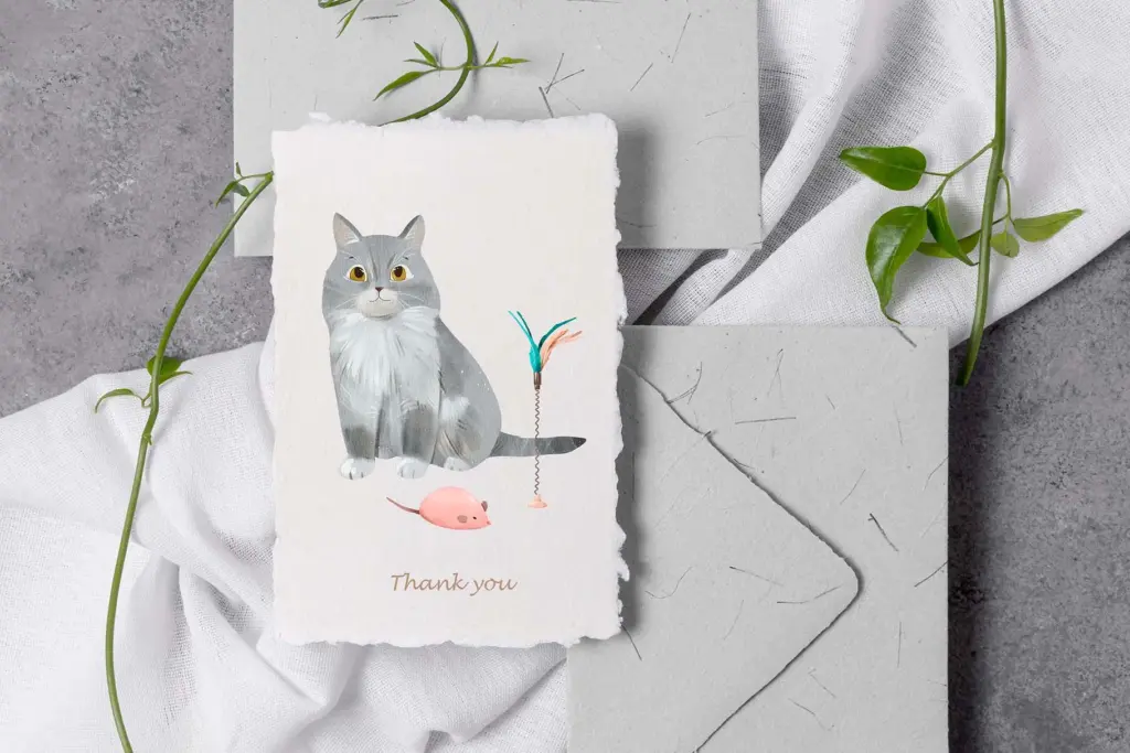 Gray-and-white cat with toys on a card that says “Thank you.”