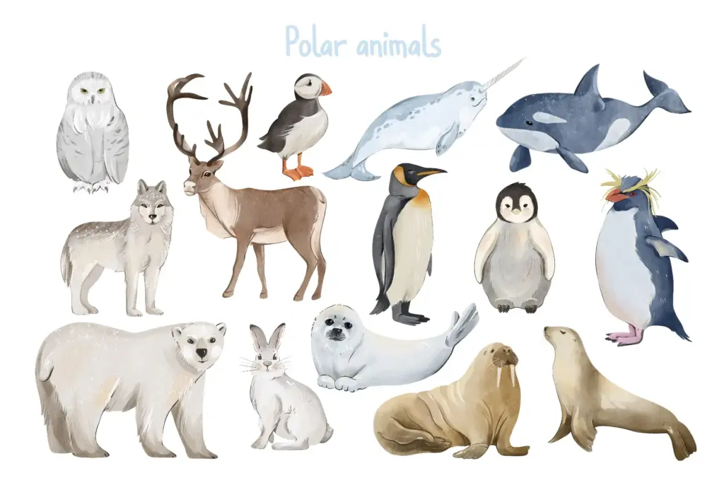 Fifteen stylized polar creatures including penguins, narwhals, and bears
