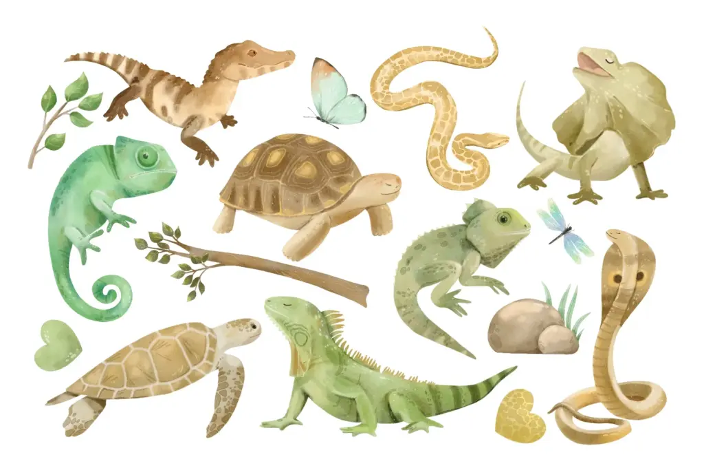Frogs, lizards, snakes, and insects in watercolor style Watercolor Animals
