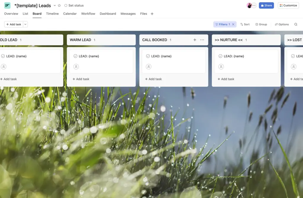 Leads Asana Templates