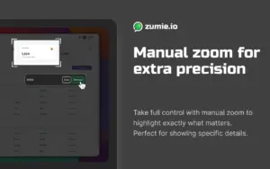 Manual Zoom Feature of Screen Recording Extension