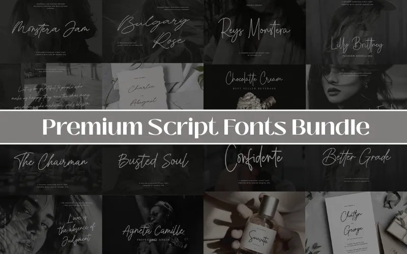 Premium Script Fonts Feature Image