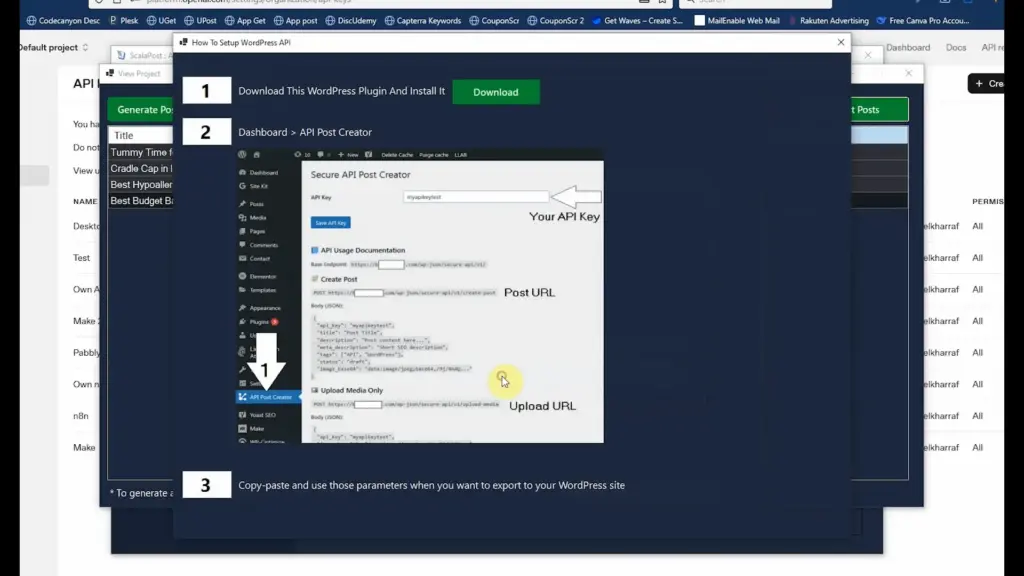 Steps to Setup WP API in ScalaPost