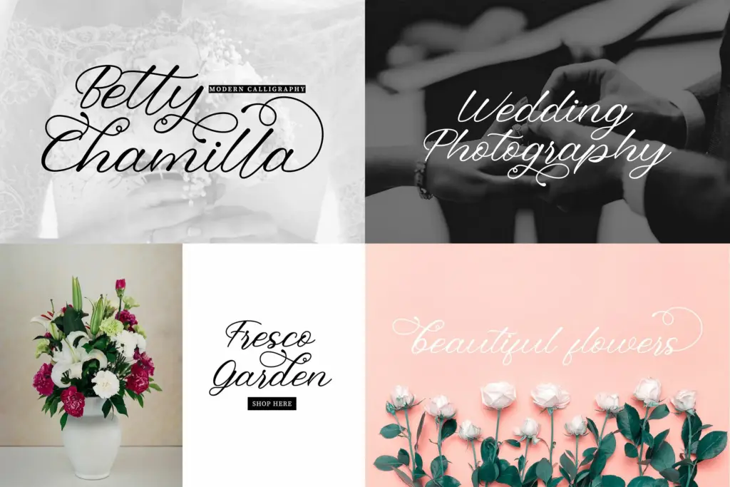 A modern calligraphy typeface with elegant, looping flourishes, perfect for the Popular Script Fonts wedding and photography category.