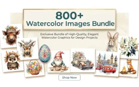 Watercolor Images Bundle Feature Image