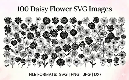 Daisy Flower SVG Images Feature Image