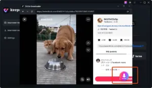 Download Video Option in Keepix
