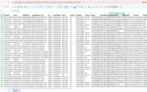 Export scrapped map as PDF CSV with Map Scraper pro