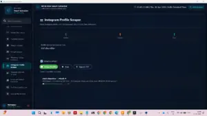 Instagram Profile Scraper dashboard in the All in One data extractor showing user bio and contact details.