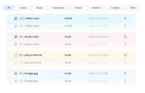 Dashboard of a PC cleaner software showing a list of categorized duplicate files ready for deletion.
