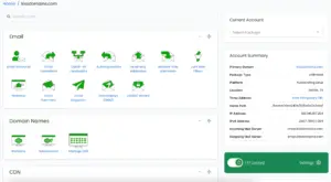 Account summary, server configuration, and email management layout in Hostdeal web hosting solution.