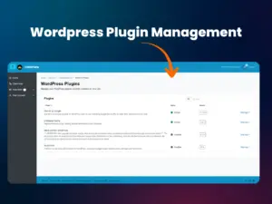 Control Plugins with HostNirvana Fast WordPress Hosting