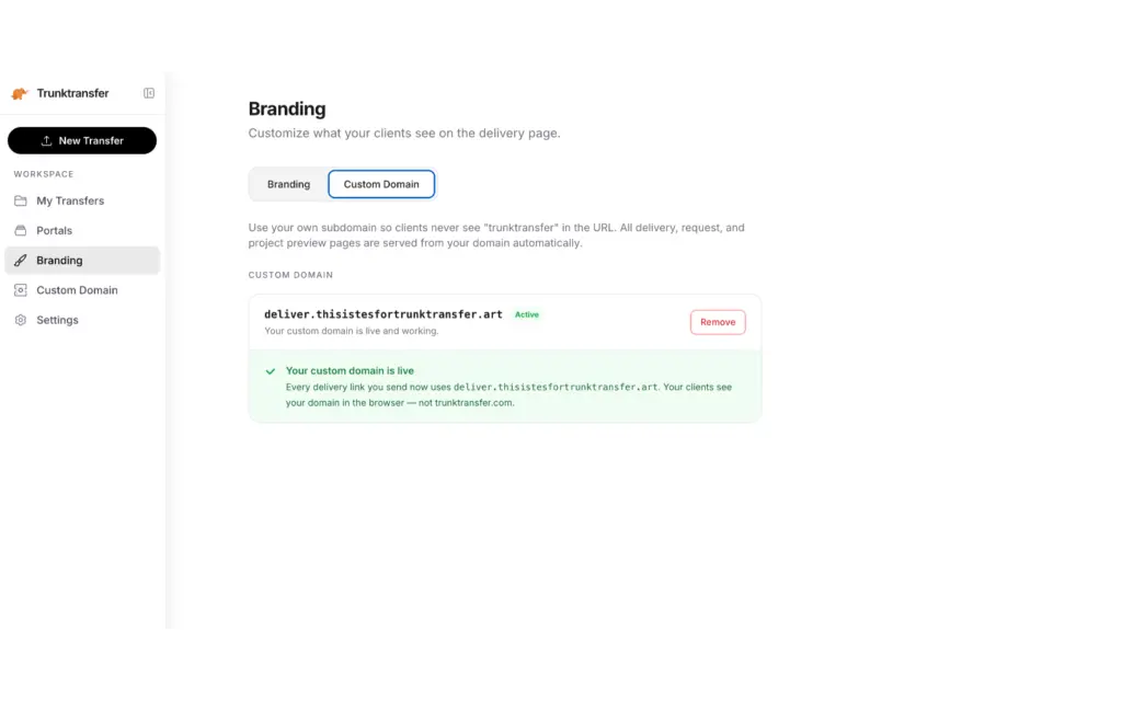 Customize your delivery links with a custom subdomain to keep your brand front and center.