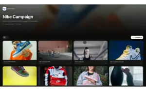 Public client asset gallery page on TrunkTransfer secure file sharing platform.