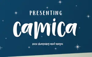 Camica font of Handwritten Calligraphy Fonts Bundle