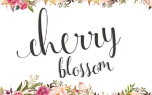 Cherry Blossom font of Handwritten Calligraphy Fonts Bundle