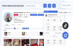Watermark Remover of KOLSprite AI TikTok Influencer Marketing Platform