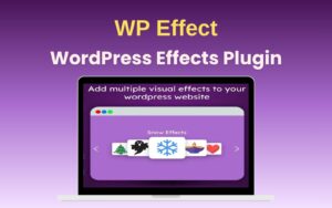 WP Effect Feature Image