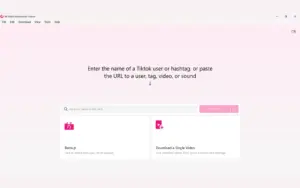 TikTok download interface