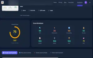Get overall website score with SeeSpect SEO Website Audit Tool