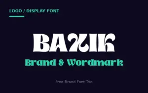 Baxik Logo Font of the free branding fonts bundle