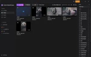 Find Any File Instantly with SurSort Digital Asset Management Software