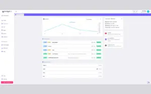 Twidget dashboard with API analytics