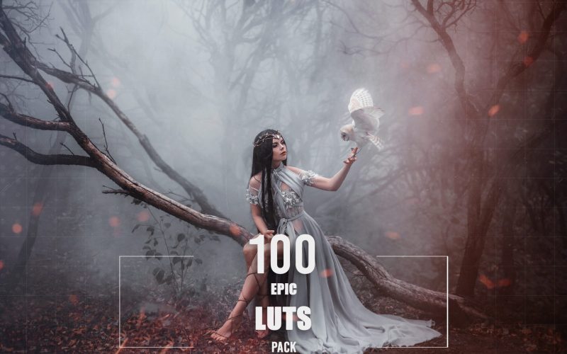 100 Epic LUTS Pack - Video Effects