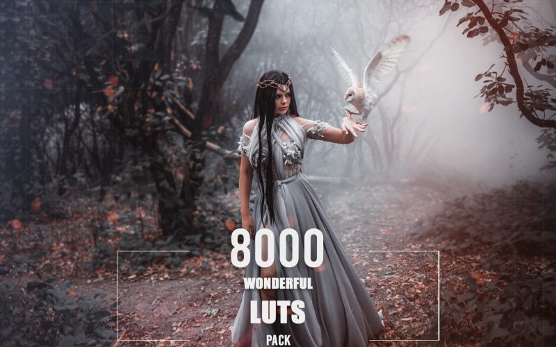 8000+ Wonderful LUTs Bundle - Video effects